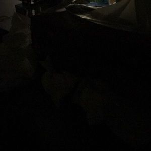 Meet your Posher, Jen